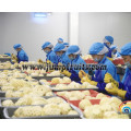 Vegetable frozen fruit processing line